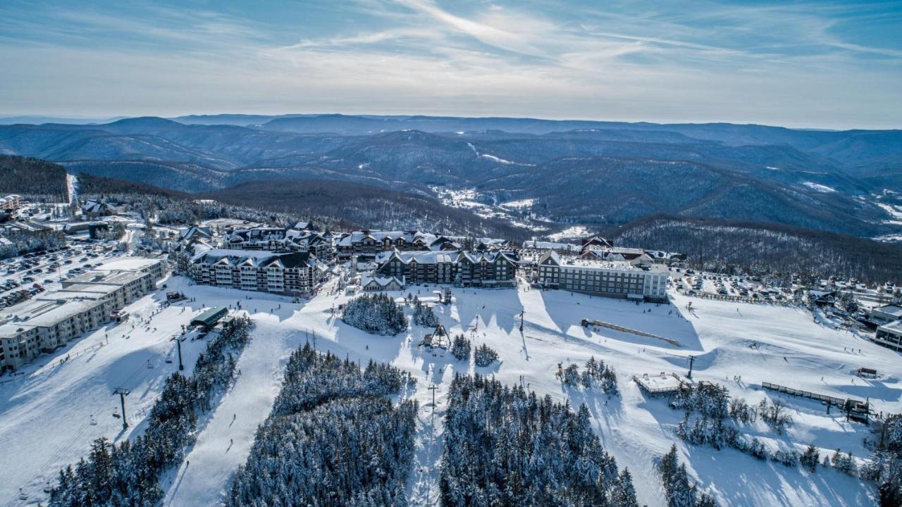 Allegheny Spg - Cozy Condo Ski From Our Patio Dunmore Extérieur photo